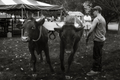 IMG02690_1