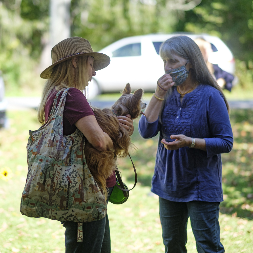 Pictures from the Great Country Mutt Show Cornwall CT