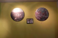 DSCF0384