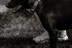 DSCF8040