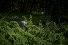 DSCF9153_1