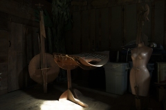 DSCF8221