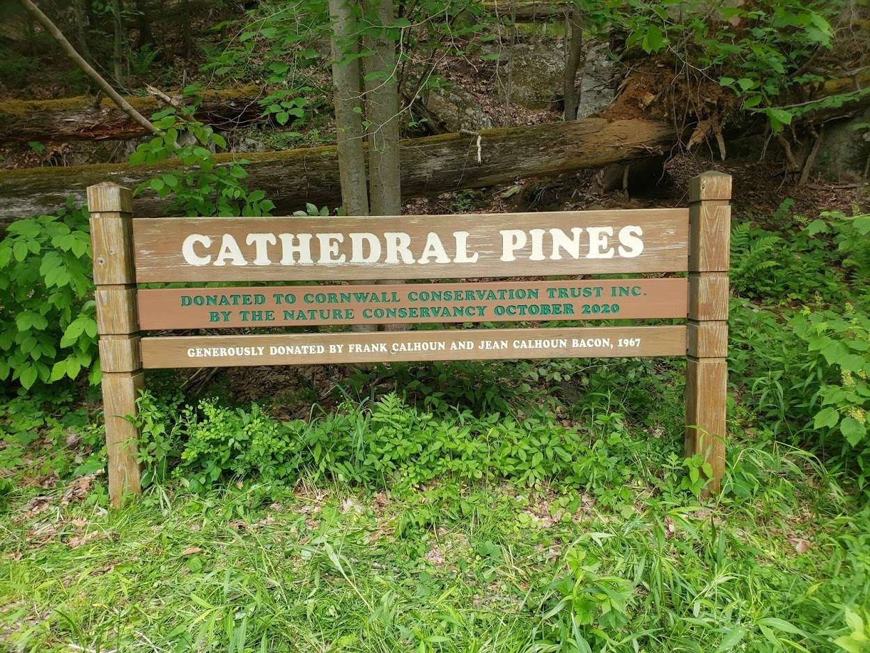 Cathedral Pines CCT